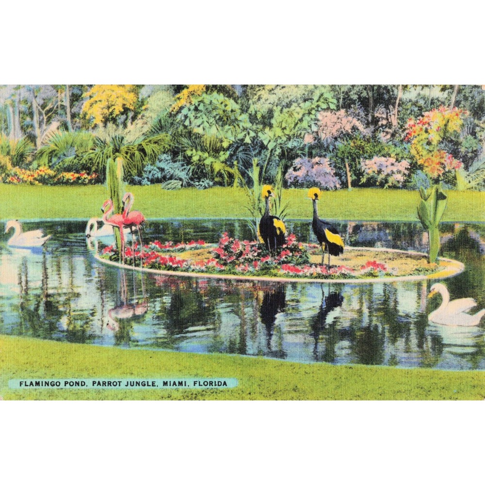 Vtg Parrot Jungle Miami Florida Flamingo Pond Cranes Swans Linen Postcard